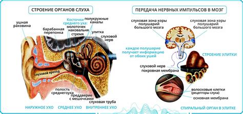 Причины шума в аппарате