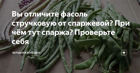 Раздел 2: Возможные проблемы при покупке перезревшей спаржевой фасоли